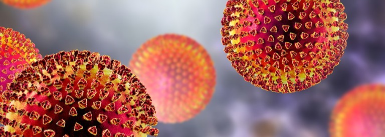 Coronavirus : events reports